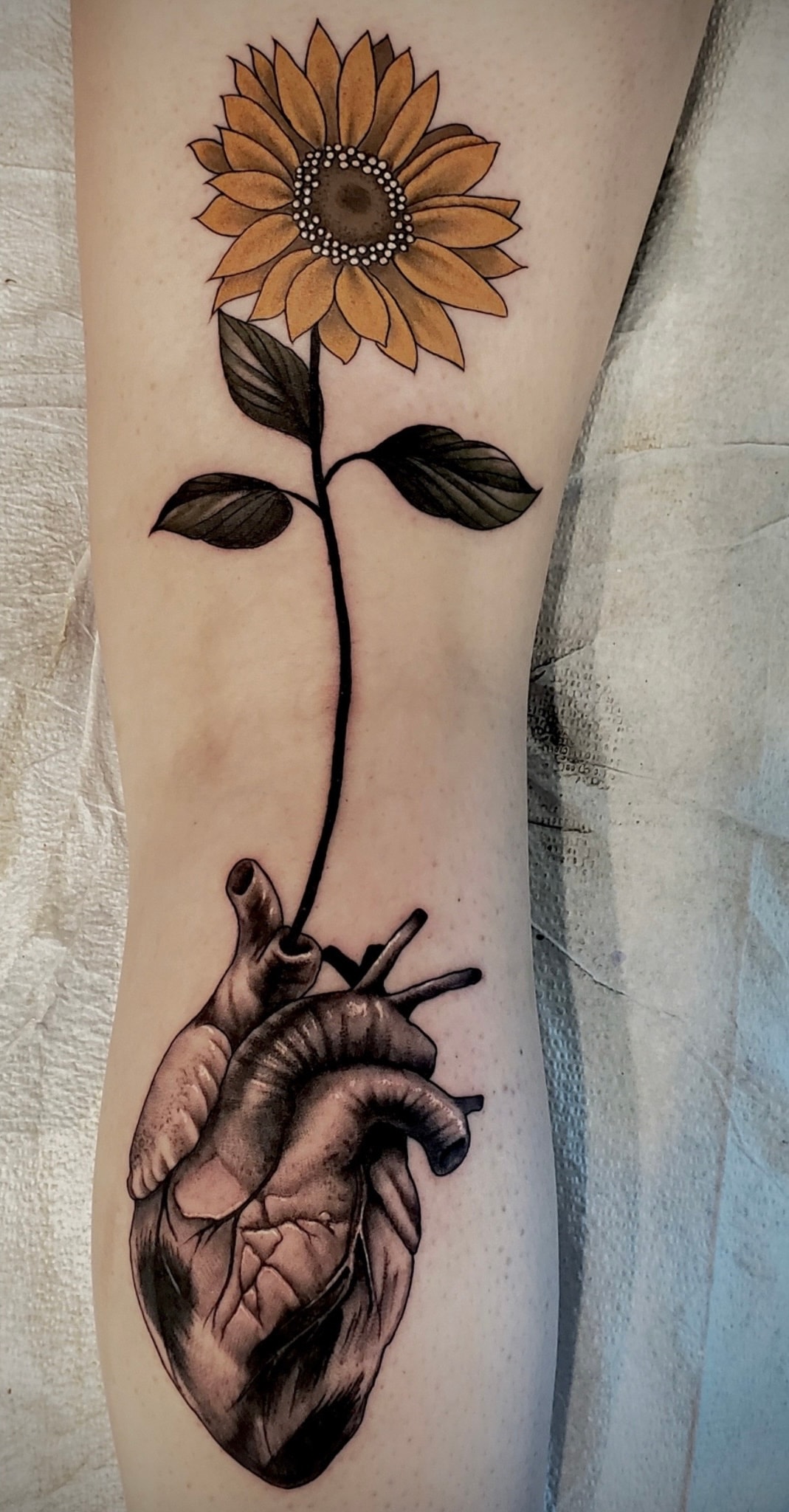 Anatomical heart growing sunflower tattoo by Steve Young