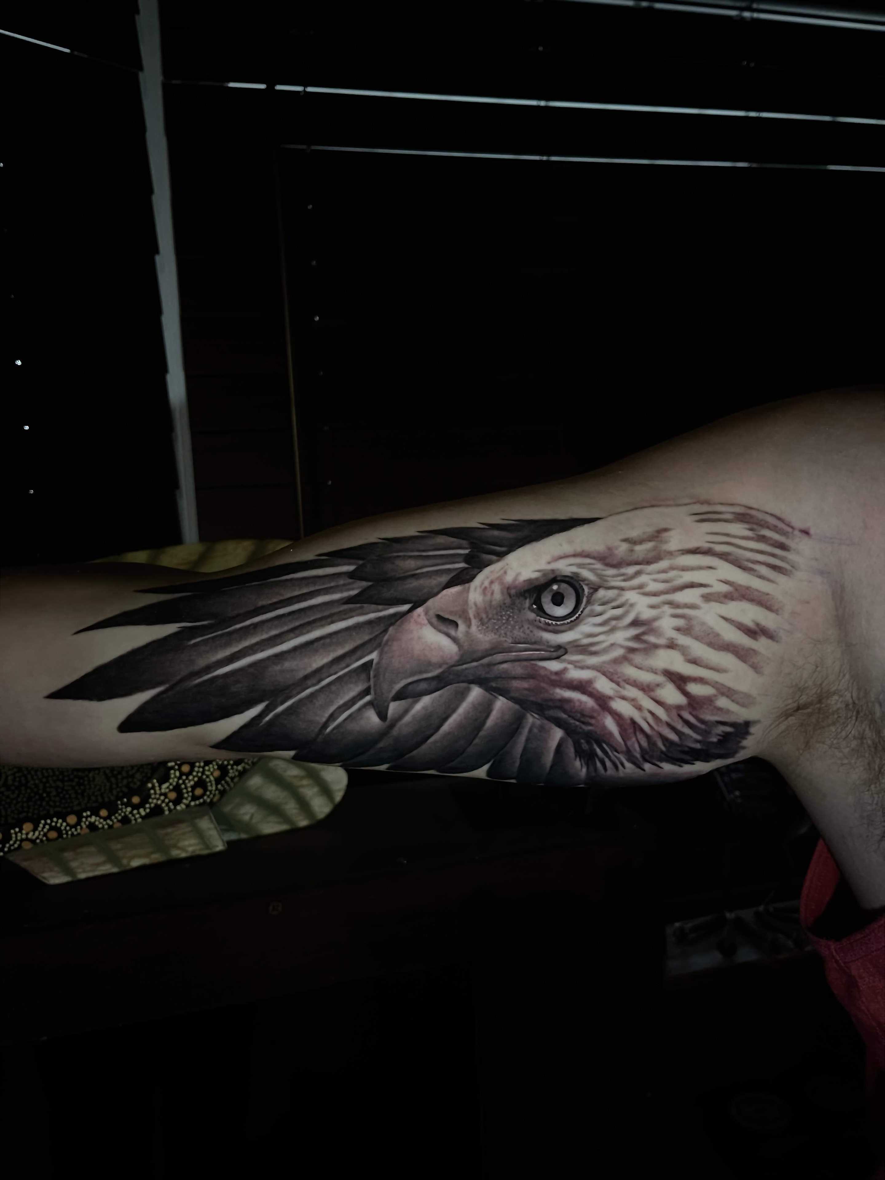 Eagle head tattoo on forearm by Steve Young