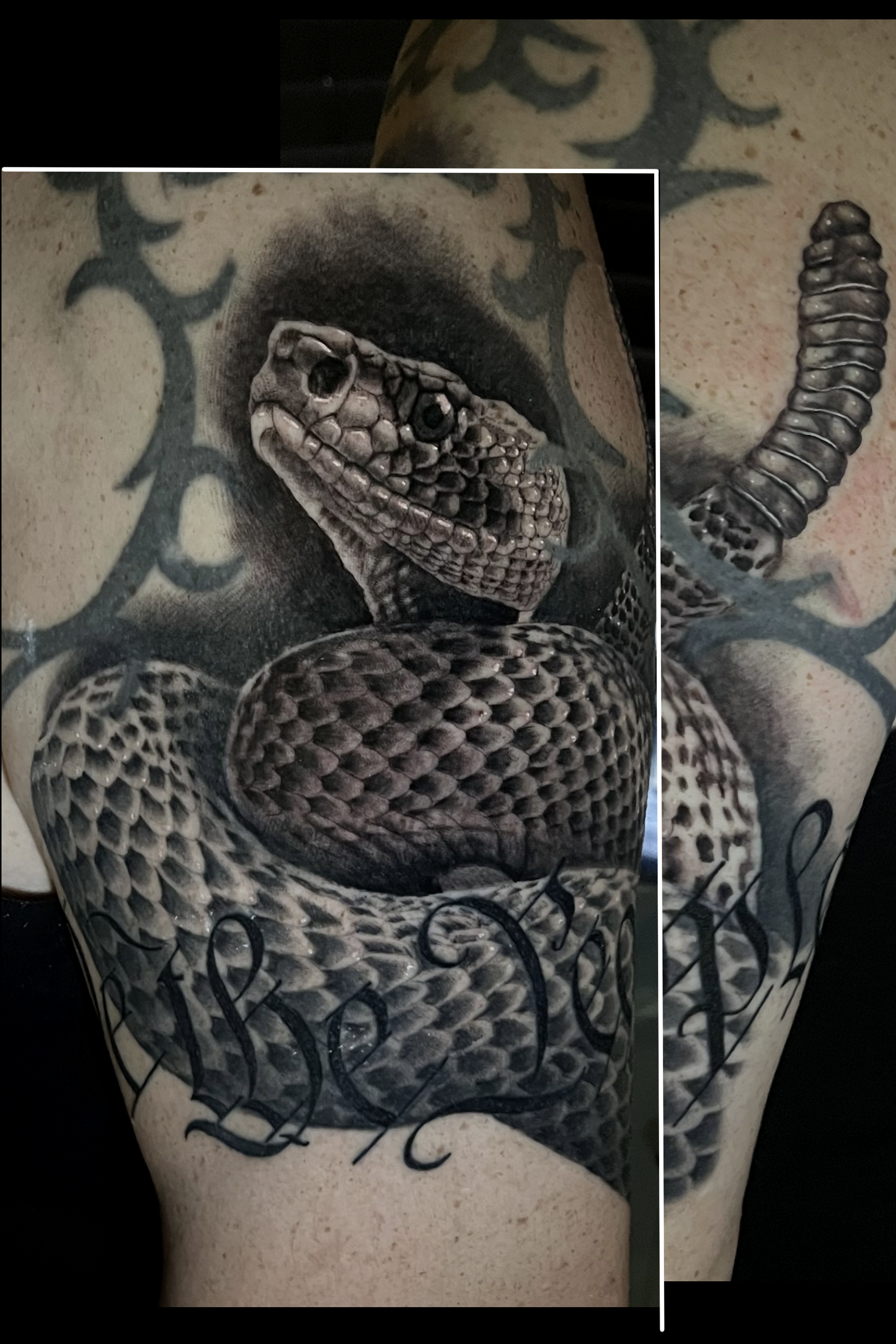Detailed snake tattoo on arm by Steve Young